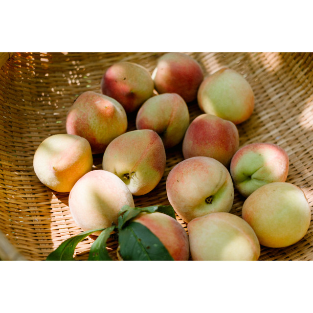 果醋｜蜜桃果醋（熟成梅香・代母賣桃）300ml