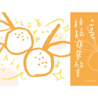 酵素｜椪柑康普酵素（濃縮發酵・陳皮回甘）300ml