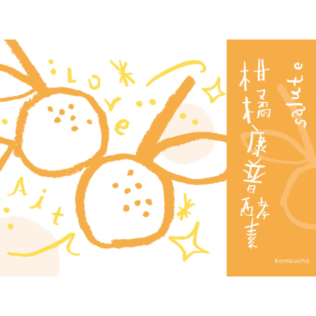 酵素｜椪柑康普酵素（濃縮發酵・陳皮回甘）300ml