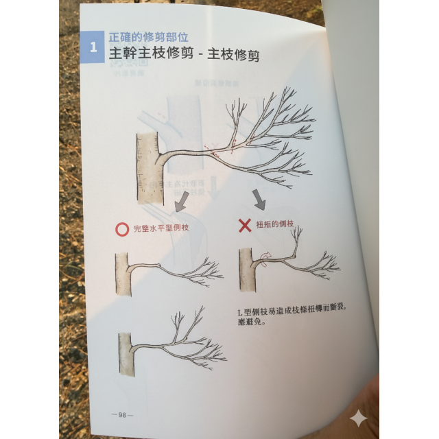 樹木科學系列：《綠化樹木修剪筆記》