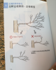 樹木科學系列：《綠化樹木修剪筆記》