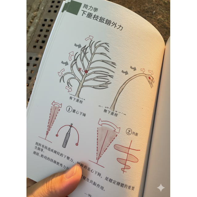 樹木科學系列：《綠化樹木修剪筆記》