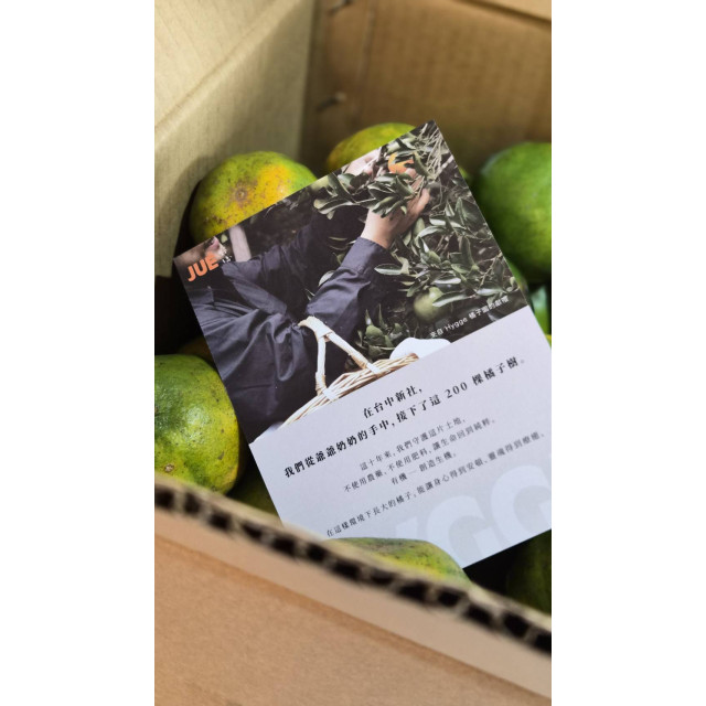 JUÉ 野橘｜友善石虎・有機轉型期椪柑 24 顆（約 8 台斤・台中新社）
