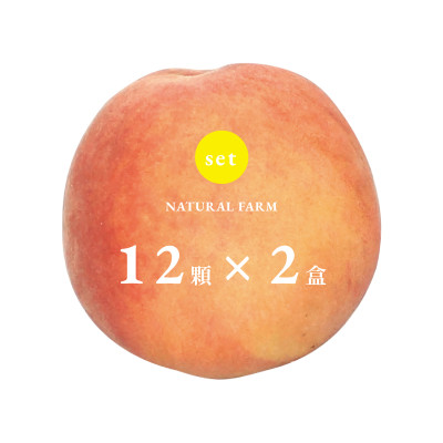 水蜜桃【12粒/盒】x2盒（組） 小顆吃爆款（含運）