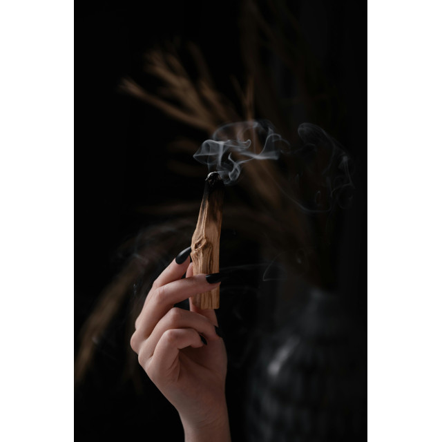 秘魯原產・天然聖木 Palo Santo（中大包裝）・《儀式用料首選｜濃厚木香・天然療癒》