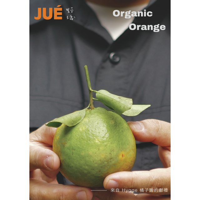 JUÉ 野橘｜友善石虎・有機轉型期椪柑 24 顆（約 8 台斤・台中新社）