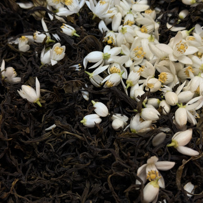 橙花黃茶｜野放橙花窨製 × 自然農法十八年