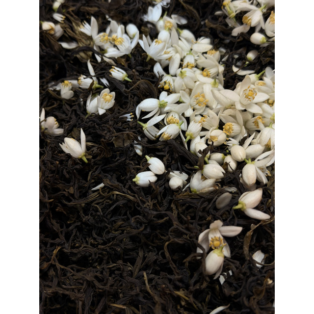 橙花黃茶｜野放橙花窨製 × 自然農法十八年